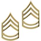 Army Gold Insignia Set  
