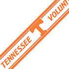   Volunteers University of Tennessee Volunteers   Wallpaper Border