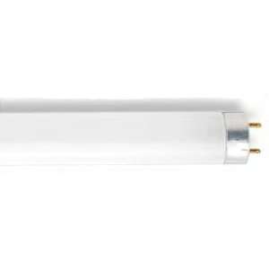 Satco Light Bulbs F32T8/810 32watts T8 Fluorescent Clear Energy Star 