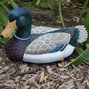  Mallard Duck Garden Decoy