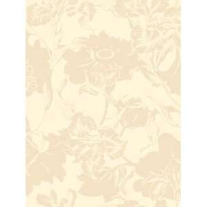 Wallpaper Steves Color Collection   All BC1581452 