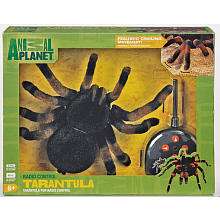 Animal Planet Radio Control Tarantula   Toys R Us   