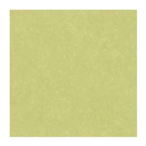   Wallcoverings PX8901 Color Expressions Texture Wallpaper, Lemon Lime