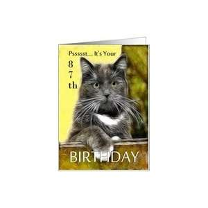    Birthday ~ Age Specific 87th ~ Cat in a box Card Toys & Games