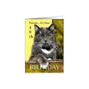    Birthday ~ Age Specific 40th ~ Cat in a box Card Toys & Games