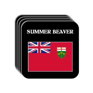  Ontario   SUMMER BEAVER Set of 4 Mini Mousepad Coasters 