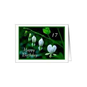  Happy Birthday to 17   White Hearts Card Toys & Games