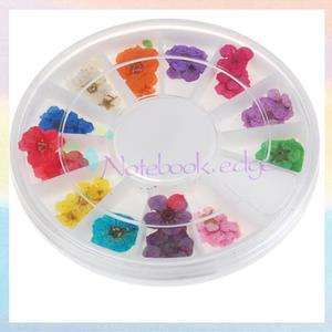 12 Colors Dried Flower Nail Art Tip Decoration Dish Gel  