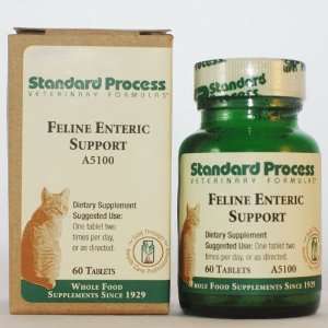  Standard Process Feline Enteric Support   60 tablets. Pet 
