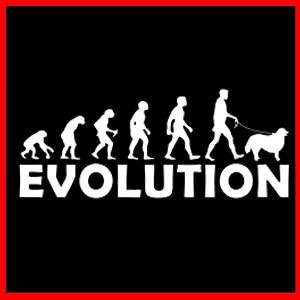 BERNESE MOUNTAIN DOG Rescue Berner EVOLUTION T SHIRT  