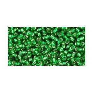   Glass Seed Beads   Silver Lined Grass Green Arts, Crafts & Sewing