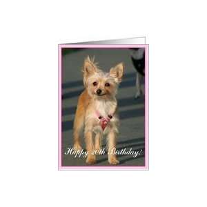  Happy 20th Birthday Chihuahua Dog Card Toys & Games