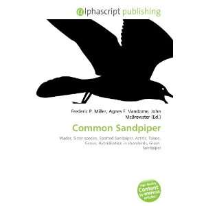 Common Sandpiper [Paperback]