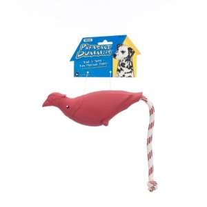  JW Pet Company Pheasant Dummies Dog Toy, Medium (Colors 