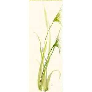 Barley Grass Capsules