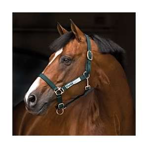Fieldsafe™ Halter by Horseware Ireland   Red  Sports 