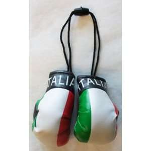  Italy   Mini Boxing Gloves Automotive