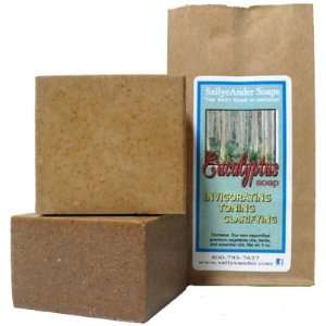  Eucalyptus Soap Beauty