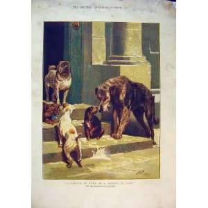    Christmas 1881 Breeds Dogs House Doorstep Charlton