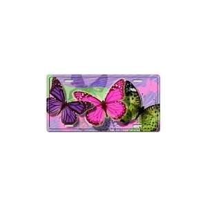  Fly Butterflies   Vanity Decorative License Plates Car 