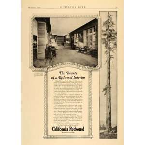 1919 Ad California Redwood Association Tree Interior   Original Print 