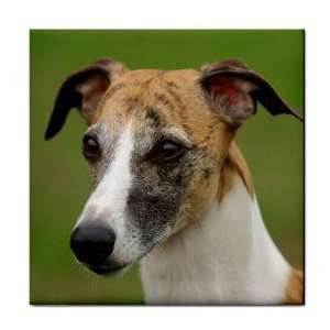  Whippet Puppy Dog 2 Tile Coasters (Set/4) HH0649 
