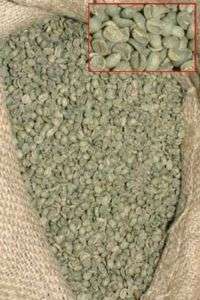 25 LBS. MEXICAN TURQUESA GREEN COFFEE BEANS  