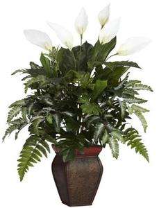   Mixed Greens & Spathyfillum White Bloom Silk Plant 810709014327  
