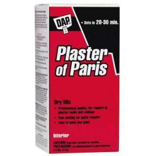 Plaster Mix from DAP     Model 10318