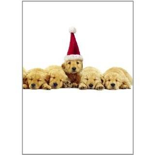 Avanti Christmas Cards, Christmas Puppies, 10 Count