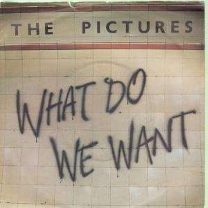  WHAT DO YOU WANT 7 INCH (7 VINYL 45) UK KALEIDOSCOPE 1981 