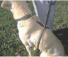 Puppia Harnesses, Puppia Leashes Leads items in Feed Jake Auctions Pet 