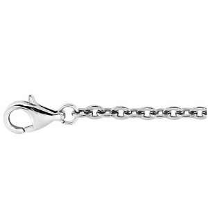  Titanium Anchor Chain with Lobster Clasp 20, 3.1mm 