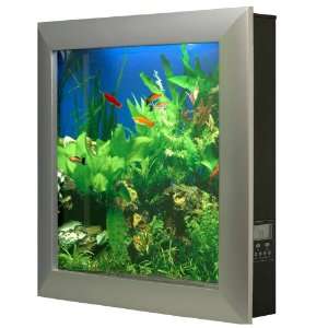   Mounted Aquarium with Seaweed Background, Black Frame