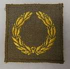 Army Meritorious Unit Citation Assortment  