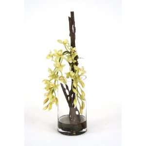   Artificial Butter Orchids Climbing Bark with Simulated Water, Rocks in