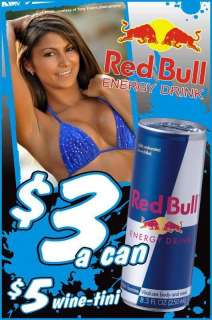 Red Bull Energy Drink Bikini Girl Refrigerator / Tool Box Magnet 