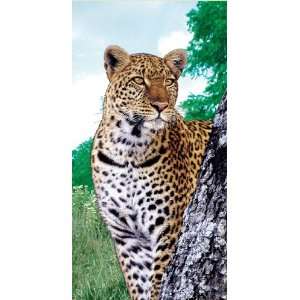  LEOPARD BEACH TOWEL 