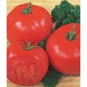  Tomato,Super Beefsteak 1 Pkt. (125 seeds) Patio, Lawn 