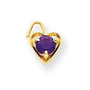  14k Yellow Gold February Birthstone Heart Charm Jewelry