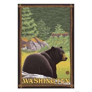 Black Bear in Forest, Washington Giclee Poster Print, 30x40