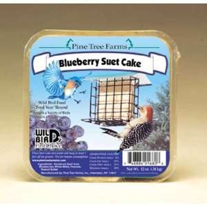  12 oz Blueberry Suet Cake for Birds 