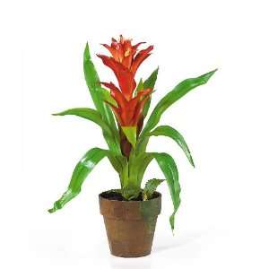  Potted Star Bromeliad Silk Flower Arrangement