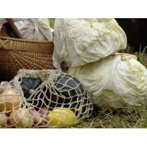 Camp Food at a Reenactment on the Yorktown Battlefield, Virginia 