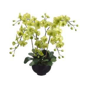 Pack of 2 Artificial Potted Green Phalaenopsis Orchid Plants 33.5