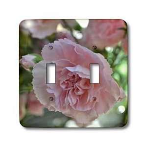 Patricia Sanders Flowers   Pink Carnation Floral   Light Switch Covers 