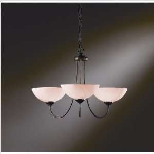  21 Three Light Chandelier Finish Bronze, Shade Color 