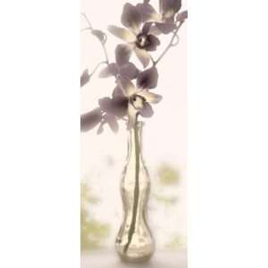  Charming Orchid Finest LAMINATED Print Donna Geissler 8x20 