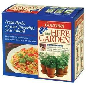 Chia Terra Cotta Herb Garden, 1 Kit Patio, Lawn & Garden