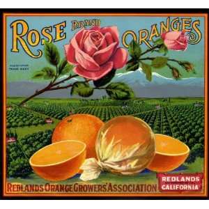  Redlands Rose Flower Orange Citrus Fruit Crate Box Label 